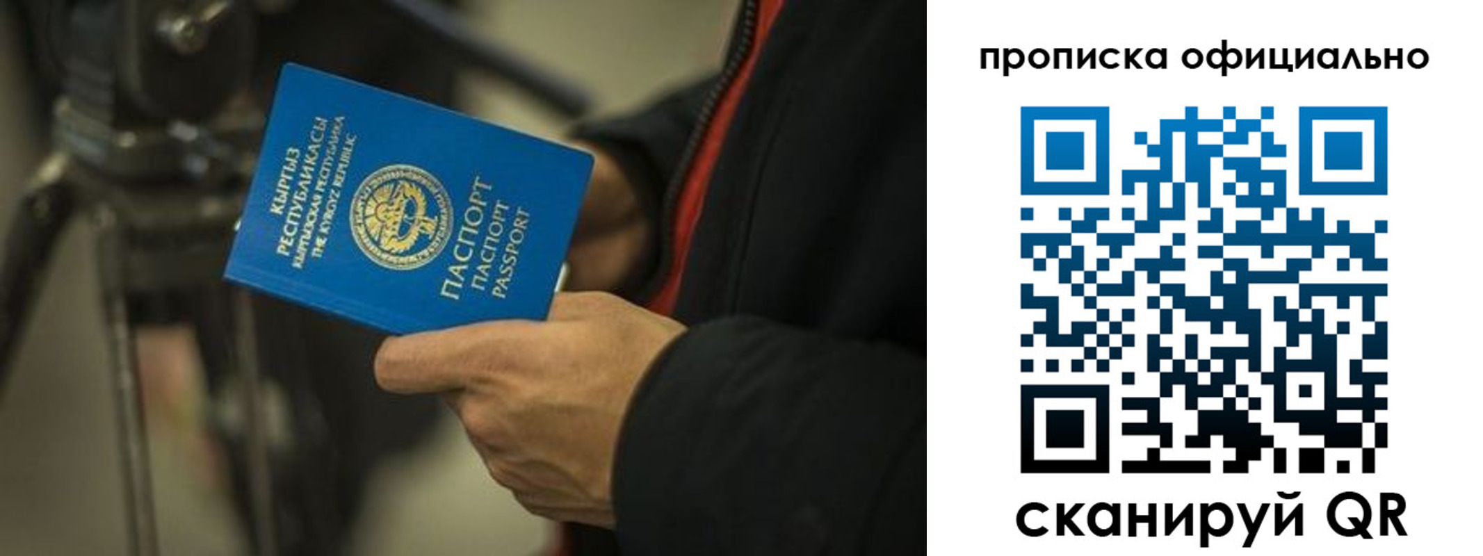 прописка в Новодвинске